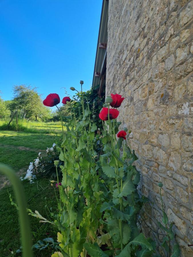 Domaine De La Cour Vautier Bed & Breakfast Mandeville-en-Bessin Luaran gambar