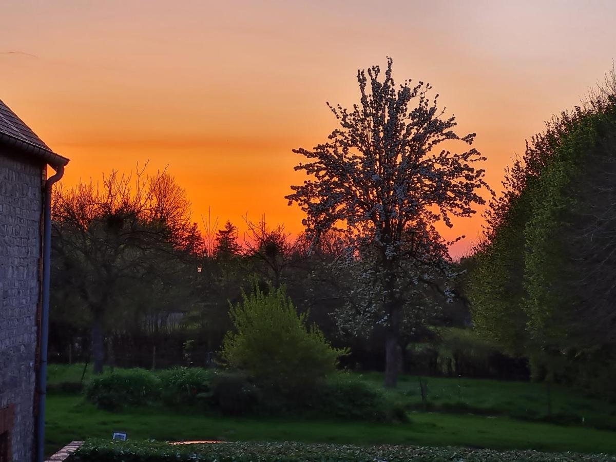 Domaine De La Cour Vautier Bed & Breakfast Mandeville-en-Bessin Luaran gambar