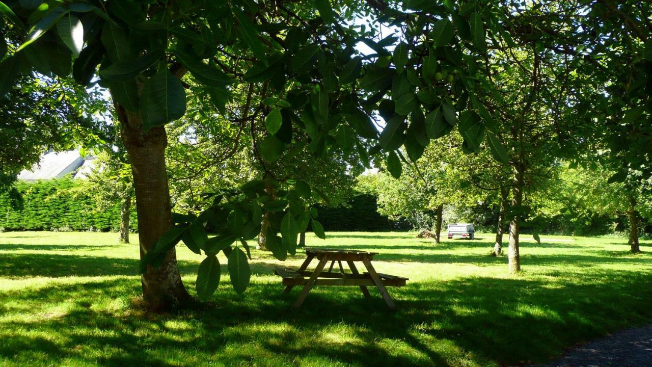 Domaine De La Cour Vautier Bed & Breakfast Mandeville-en-Bessin Luaran gambar