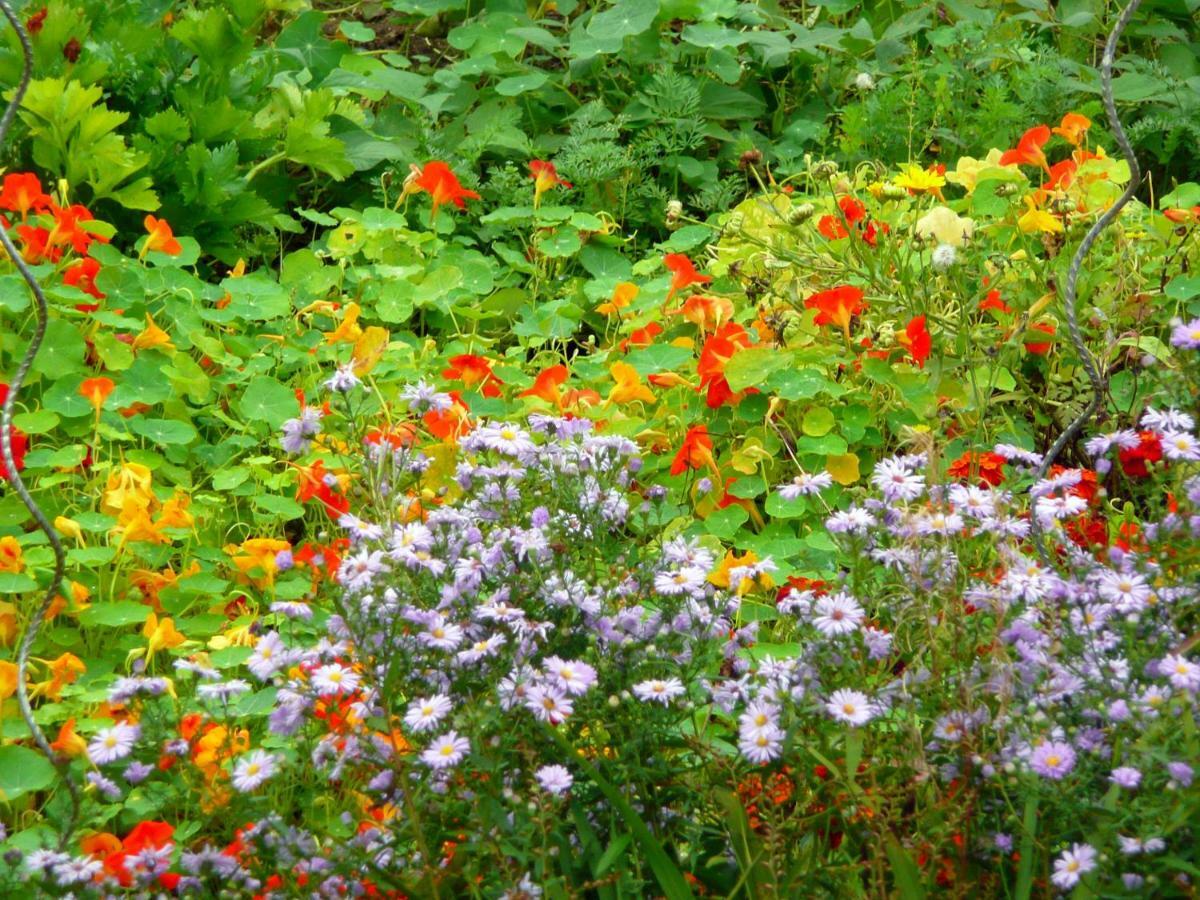 Domaine De La Cour Vautier Bed & Breakfast Mandeville-en-Bessin Luaran gambar